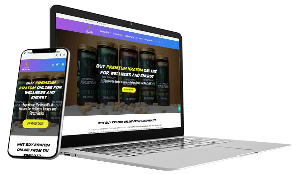 E Commerce